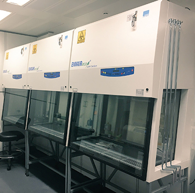 Inside the Lab
